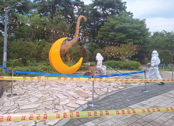 부산 송도 케이블카 관광객 15명 말벌 공격 피해 발생